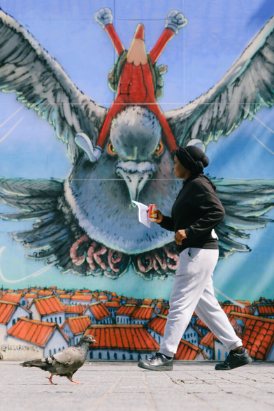 A woman and a pigeon walking in opposite directions in front of a pigeon mural.