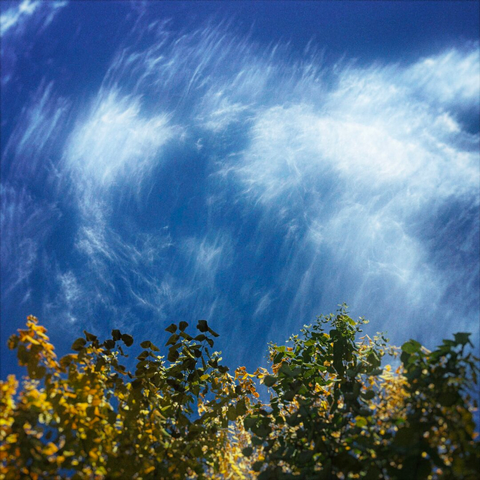 Autumn leaves fill the bottom of the frame, as wispy clouds float above against a bright blue sky.
