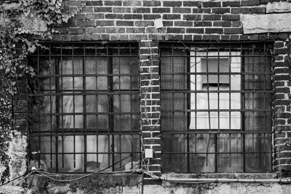A black and white photo of a pair of windows with a crisscross pattern of bars.  The bars looked to be made of steel rebar or similar.  The windows are set into a red brick wall with vegetation climbing the wall to the left.
