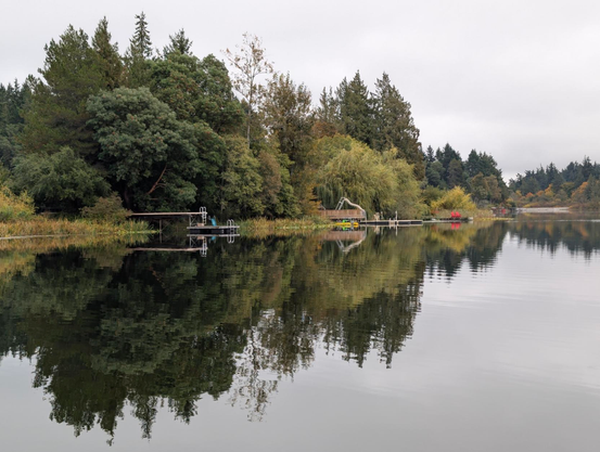 The shore line reflects off the lake, creating what kinda looks like a wave form (sound)