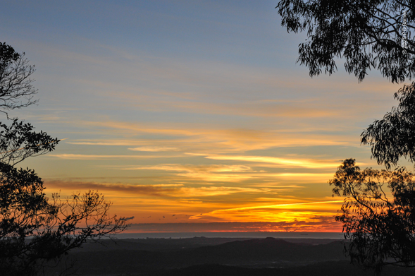 A golden sunrise over sea. A series of dragged-brushstroke clouds grow gradually denser fro, overhead to quite heavy on the horizon, over the sea. Overhead the sky is pale blue and the cloud white tinged with yellow, but as we look lower and further away the colour rapidly intensifies and grows deeper until above the horizon it is a glowing, lambent rose gold. Below, the sea is a dull slate blue, and the land beneath barely visible hazy ridges. The scene is framed by the partial silhouettes of two nearby trees.