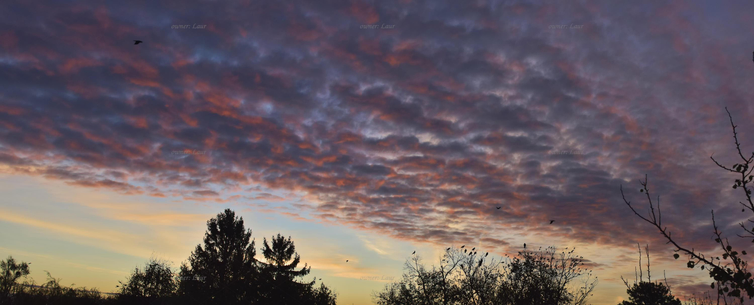 Panorama, clouds, trees, color, photo