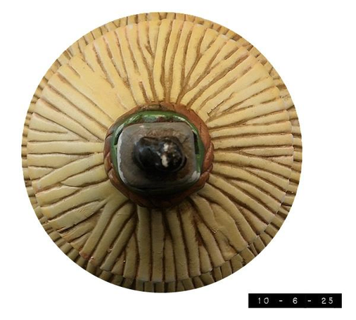 Top view of a ceramic Halloween house made of one carved pumpkin atop another, both with imitation thatched roofs.  It measures about 5" in diameter and about 7" in height.  Very cute.  I mean to say, VERY cute.  I might post a frontal view at some point, but I don't want anyone to suffer an ECA (Excessive Cuteness Attack), so... I don't know.  I think I might have to clear this with a lawyer just to be sure I can't be held liable if a viewer ends up in a PCC (Permanent Cuteness Coma).  Thank you for your patience and understanding.  