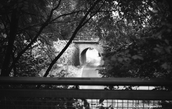 Die Münsterland Radbahn in der Bauernschaft Lutum in  Billerbeck.