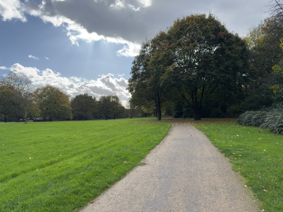 A photo of a walkway in a park with green grass and green to slightly orange trees. Some thick dark clouds in the sky.
