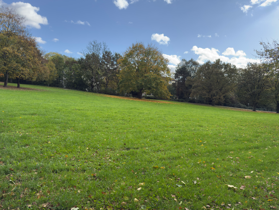 A photo of a park with green grass and green to orange trees. Orange leaves lying under a tree.