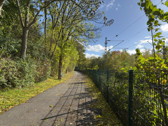 A photo of a walkway next to a railway track. Left are trees in light green/yellow with autumn leaves lying below them. Right is a fence with green bushes separating the walkway from the railway track.