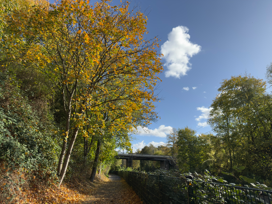 A photo of a walkway next to a railway. On the left are big trees with orange leaves. The walkway ist partially covered in autumn leaves. On the right side is a fence with green bushes separating the walkway with the railway track. You can see a footbridge goong over the walkway and railway tracks in the front.
