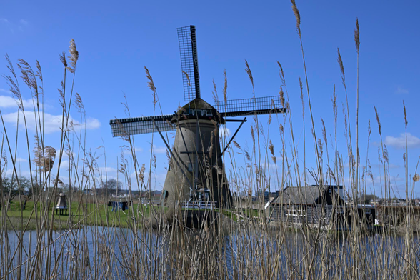 Windmühle am Wasser fotografiert durch einen Schilfgurtel gegen einen Hellblauen Himmel