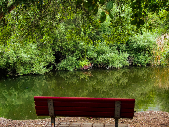The image shows a red bench facing away from the viewer, positioned on a stone-paved area. Behind the bench is a body of water reflecting the surrounding greenery. Lush, dark green foliage fills the background, creating a dense and natural backdrop. The water’s surface is relatively still, mirroring the trees and vegetation above. The overall impression is one of tranquility and peaceful scenery.