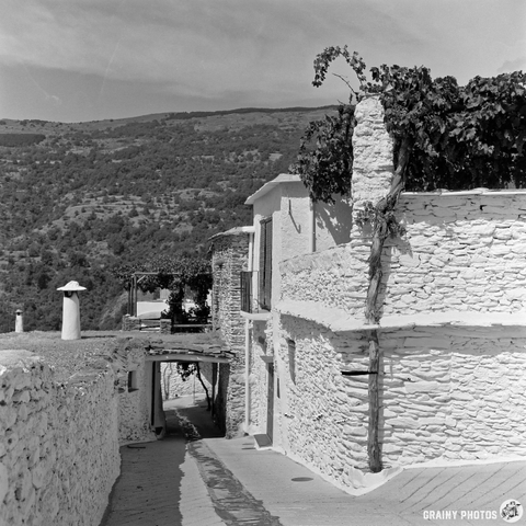 Narrow street in a Capileira, Spain, with white stone walls, grapevines on a terrace, and hills covered with greenery in the background under a partly cloudy sky—captured as a vivid black and white film image.