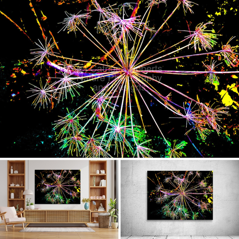 Above digital image featuring the design- 

Abstract Colourful Angelica in the Evening.

Lower left design on a Canvas Print on a wall above a living room unit.

 Lower right design on a Canvas Print on an exhibition wall.

Originally a close up photo of Angelica seed heads laterally digitally manipulated to create a stunning piece of abstract contemporary art.
 Features neon-like Angelica seed heads as they radiant in lines extending from a central point somewhat resembling a dandelion, set against a dark background. 

The vibrant colors create a stark contrast and an almost otherworldly appearance. 

Mockups combined within Elements using a grid format in canva.com
 
Click links on the main post for options.
