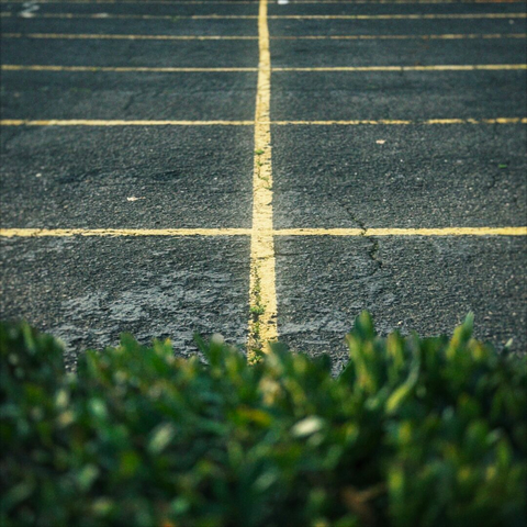 The top of a shrubbery obscures the bottom of the frame, revealing empty parking spaces in the distance above.
