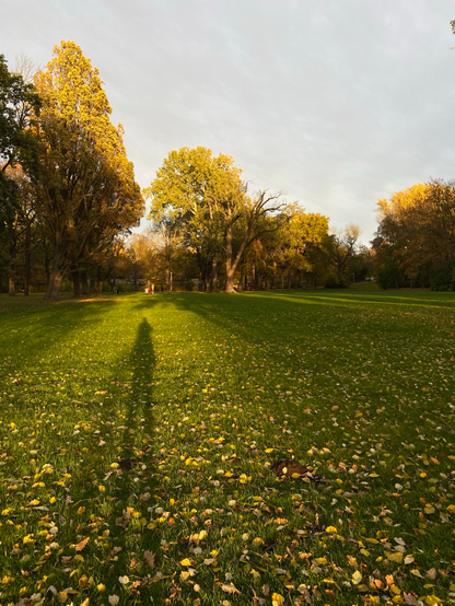 A scene in a park in autumn.
The lower half of the picture is filled with a green meadow covered with yellow leaves.
From the left bottom reaching to the left centre there‘s a very long shadow of a human being on the grass.
On the horizon there a some tall trees partly illuminated by the afternoon sun.
The sky is cloudy and grey.
