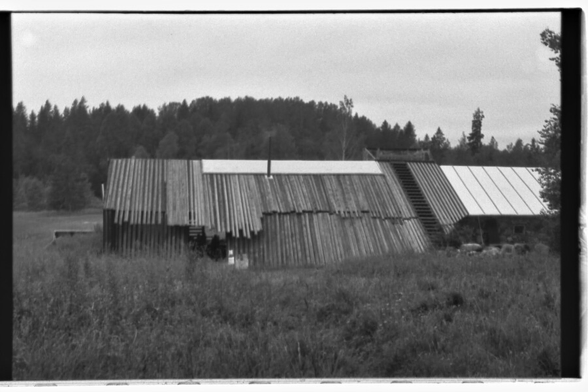 Black and white photo, with bit of film edge showing. In middle a building, mostly showing a plank-built slope roof running down almost to the ground. Foreground is a meadow, in background there is a forest.