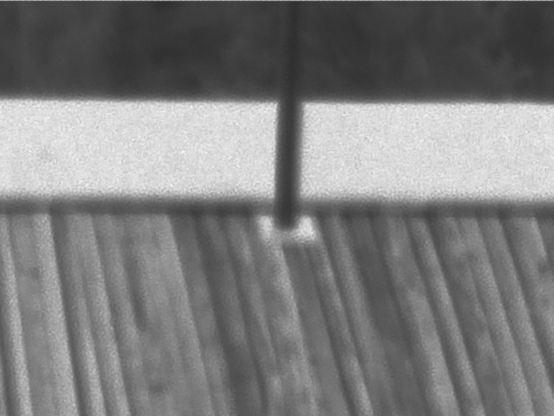 Just some photo grain here.