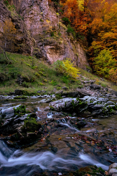 Español: corriente de agua fluyendo entre rocas cubiertas de musgo en un valle rodeado de árboles con hojas otoñales de colores cálidos.

English: stream flowing between moss-covered rocks in a valley surrounded by autumn trees with warm-colored leaves.
