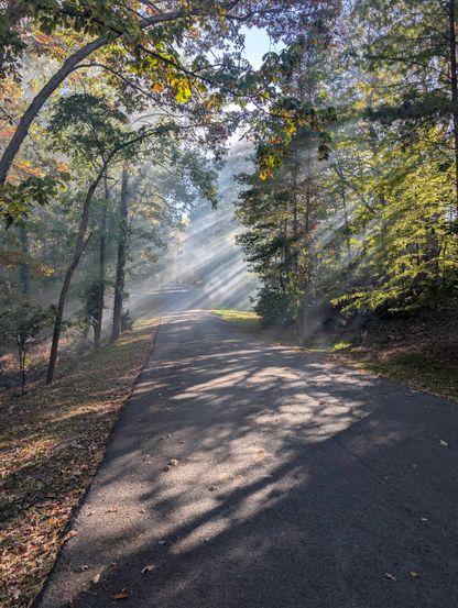Sunbeams coming from the right
