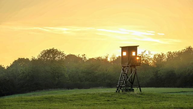 Das Bild zeigt einen hölzernen Hochsitz auf einem grünen Feld, umgeben von Bäumen und Büschen. Die Szene ist während des Sonnenuntergangs aufgenommen und das Sonnenlicht lässt die Fenster erstrahlen.