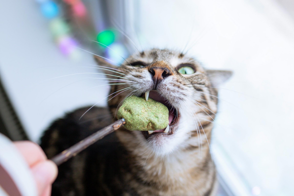 Photograph by Tatyana Rubleva