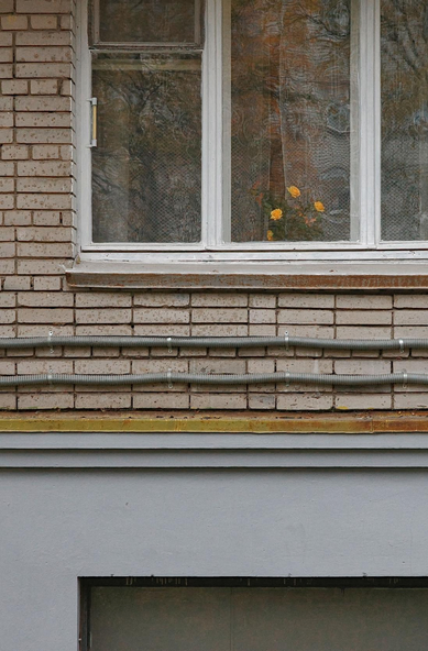 The photo shows a part of the building's facade with white brickwork and a window. The window has a white frame and a curtain that reveals the interior of the room. A flower with yellow buds is placed on the windowsill. A metal pipe runs underneath the window.