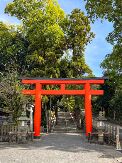 Un torii típico de madera pintado de rojo (tiene forma de pi griega) rodeado de árboles y al bien de unas escaleras de piedra que suben hacia otra zona. A su lado, dos linternas de piedra.