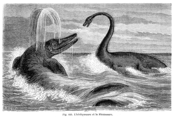 An ichthyosaur and a plesiosaurus are facing each other in the sea, both assuming bellicose postures.