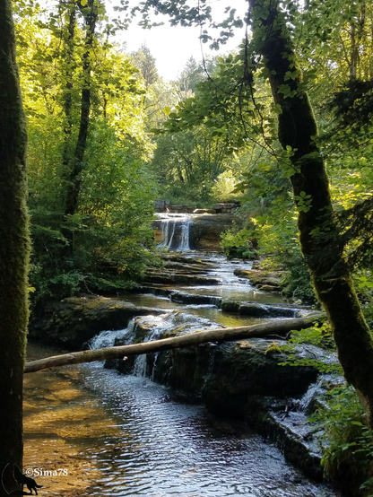 Cascade en forêt, entourée de végétation luxuriante et de rochers moussus.
Waterfall in the forest, surrounded by lush vegetation and mossy rocks.
Cascada en el bosque, rodeada de vegetación exuberante y rocas cubiertas de musgo.