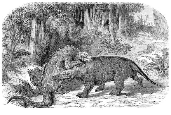 Wood engraving depicting an iguanodon and a megalosaurus fighting and biting each other in a forest from the Early Cretaceous period.