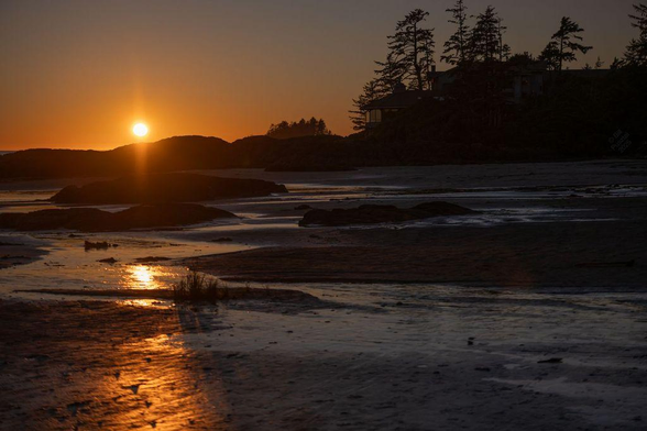 Looking towrds the sun - trees and rocks and buildings in silhouette, the sun bouncing off streams and pools on the sand