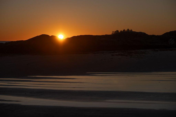 Looking towards the sun - trees and rocks and in silhouette, the sun bouncing off streams and pools on the sand