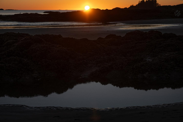 Looking towrds the sun - trees and rocks in silhouette, the sun bouncing off streams and pools on the sand.