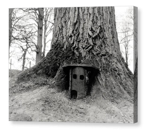 Black and white photo of a fairy door at the base of a tree.  The image is shown printed upon a block canvas.