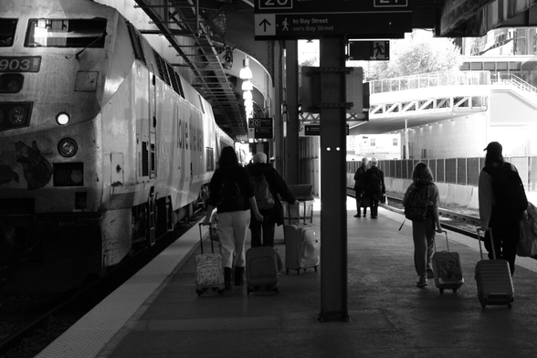In the shadows of the covered outdoor platform, a train looms in the upper left of the image. The perspective lines follow it into the distance. Beside it, passengers pulling wheelie luggage walk away from the camera to find their train car. The upper right of the image shows the bright sunshine where the platform opens to the sky and the structures beyond.