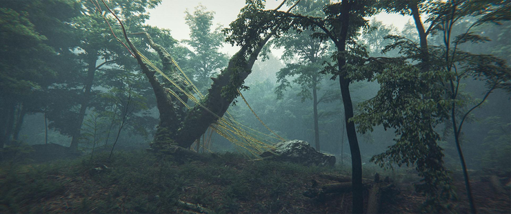 A gnarly tree in a forest with slime trails connecting it to the ground.