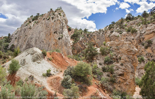 A narrow footpath winds steeply down into a narrow canyon through soils and rocks of white and red amid green desert shrubs. Cloudy sky with patches of blue.
©BosqueBill.com