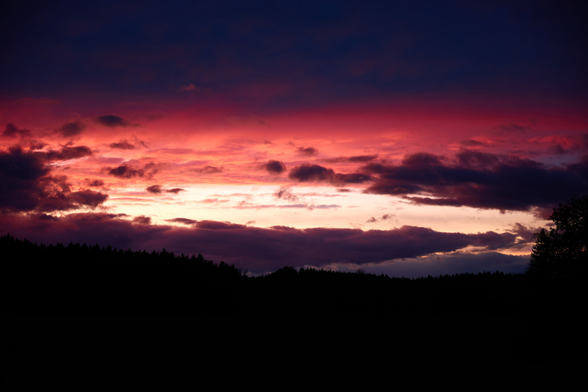 A vibrant red and orange sunset with clouds and a forest in the foreground.