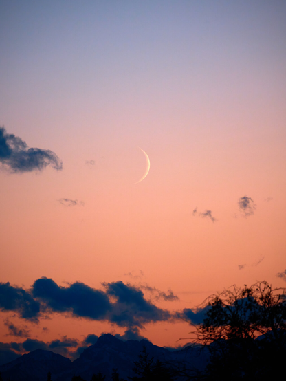 An orange sunset with some clouds and trees in the foreground. In the middle there is a light crescent.