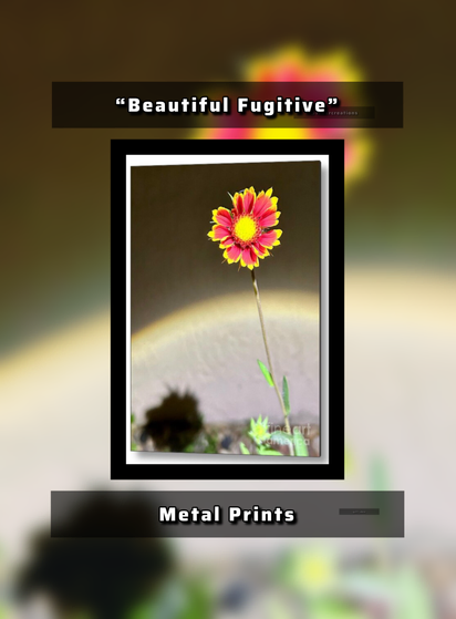 https://fineartamerica.com/featured/beautiful-fugitive-kristopher-r.html?product=metal-print