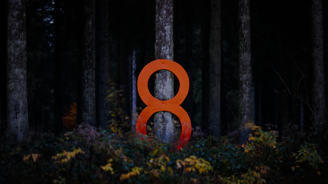 Eine große rot-orange Zahl "8" ist an einen Baum genagelt. Das untere Ende geht in Sträuchern unter, der Rest strahlt aber in der Dunkelheit. Dahinter sieht man weitere Bäume im Dunkeln verschwinden.