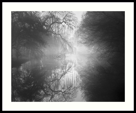 b&w - A wide ditch in an urban forest. Old, overhanging and still leafless trees enter the scene from both sides.