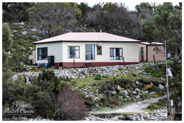 A photograph showing a single story, pale cream colored house with a pink/red corrugated iron roof and trim, sitting on a rocky, grassy slope.

The house is surrounded by dense, rugged Tasmanian bushland. A small outbuilding is visible to the right. The foreground is blurred, giving the photo a slightly miniaturized, focused effect.