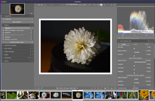 Darktable Interface