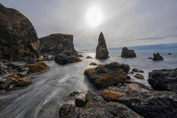 Sea Stacks of Valahnúkamöl – Reykjanes Peninsula, Iceland Landscape

Beneath the vast Icelandic sky, the sun hovers like a glowing crown above the haunting sea stacks of Valahnúkamöl, casting light over a landscape both raw and sacred. Here, the restless Atlantic meets the volcanic soul of Iceland in a never-ending dance of motion and sound.

This image captures the rugged coastline below Reykjanes Lighthouse (Reykjanesviti) — a realm of jagged basalt cliffs, moss-covered rocks, and cold, surging waves. These dramatic sea stacks, remnants of ancient eruptions, stand as stone guardians of the Reykjanes Peninsula, their black forms rising defiantly against the silver horizon. Every moment feels alive: the hiss of surf, the cry of seabirds, the pulse of wind sweeping in from the open ocean.

The entire area belongs to the Reykjanes Peninsula UNESCO Global Geopark, one of the most geologically active regions in Iceland. It sits directly atop the Mid-Atlantic Ridge, where the North American and Eurasian tectonic plates drift apart — a living symbol of creation and transformation.



Image:
https://fineartamerica.com/featured/sea-stacks-of-valahnukamol-reykjanes-peninsula-iceland-landscape-wayne-moran.html

Read more:
https://waynemoranphotography.com/blog/chasing-light-across-iceland-our-21-day-adventure/

#SeaStacks #Reykjanes #Iceland #nature #travelPHotogrpahy #Landscape #landscapes #art #fineart 

#ayearforart #buyintoart

