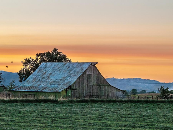 Imagine standing in a quiet, open field in northern California during the golden hour—just before sunset. The air is warm and dry, and the light casts a soft amber glow across the landscape. In front of you is a modest wooden barn, aged and weathered, its boards rough and sun-bleached from years of exposure. It’s simple in design, with a pitched roof and no visible adornments, evoking a sense of rural resilience.
The surrounding grass and brush are dry, typical of the area’s climate, which sees little rain from late spring through early fall.
The scene feels still, almost contemplative. There’s no movement, no people, just the barn and the land. It’s a moment frozen in time, capturing both the beauty and vulnerability of rural California. The image invites reflection—on history, nature, and the quiet strength of places that endure.