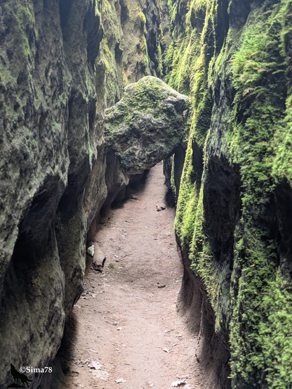 Sentier très étroit entre des falaises de calcaire couvertes de mousse.
Very narrow trail between limestone cliffs covered with moss.
Sendero muy estrecho entre acantilados de piedra caliza cubiertos de musgo.