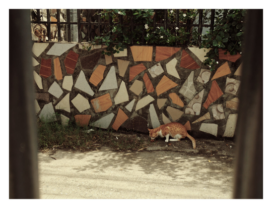 An orange and white tabby cat crouching and eating food on a concrete sidewalk next to a patch of grass. The background is dominated by a low wall decorated with an irregular mosaic of broken ceramic tiles in earthy and light tones. Above the wall, green foliage and small white flowers peek through a dark metal grating, behind which a second, darker tabby cat is visible peering down.