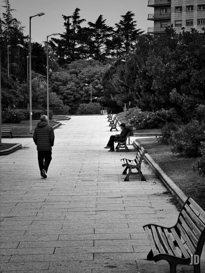 La imagen en blanco y negro muestra un sendero peatonal ancho y pavimentado en un parque o jardín urbano.
En la escena aparecen dos personas:
 * Un hombre de espaldas, vestido con una chaqueta acolchada oscura, caminando por el sendero.
 * Un hombre o una mujer sentada en uno de los bancos de madera que bordean el camino a la derecha, con las piernas cruzadas.
El sendero está flanqueado por densos arbustos y árboles altos que dominan el fondo. También se ven farolas a lo largo del camino. Al fondo, sobre la vegetación, se distingue la silueta de un edificio de apartamentos moderno.