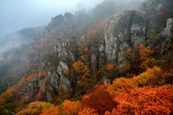 a photo of rocks riding up , big mountains,  trees that are changing to red, orange, yellow and gold colors 