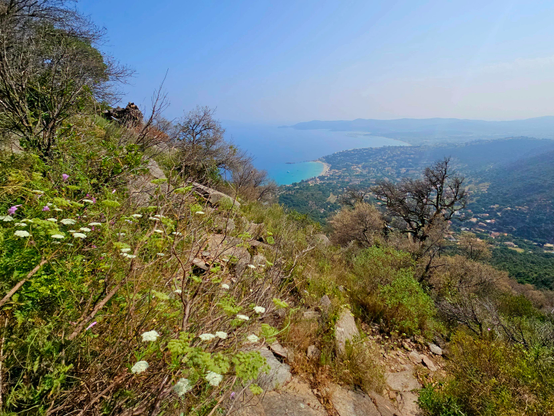Foto eines felsigen Trails über einer Küstenlandschaft